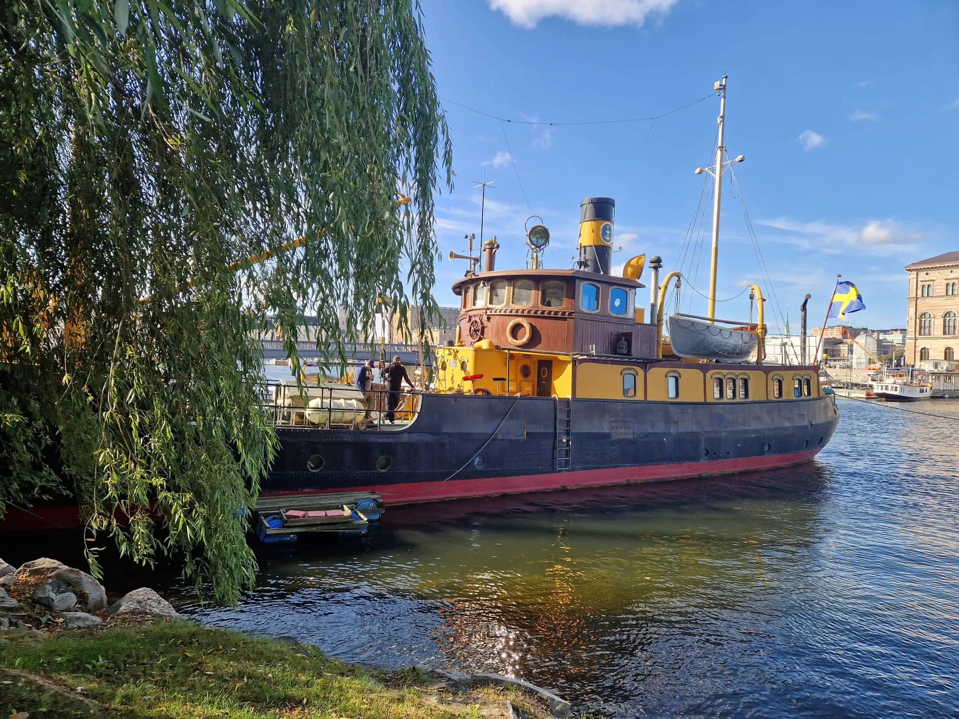 Fartyg med svart skrov och gul överbyggnad i vatten, med svensk flagga, pilträd i förgrunden och stad i bakgrunden