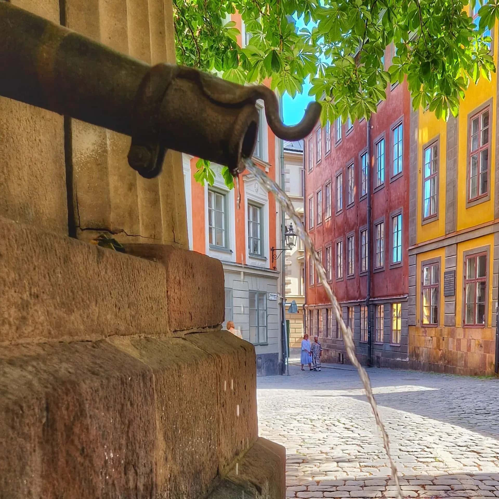 Gamla Stan Walking Tour: Hidden Stories of Stockholm’s Old Town